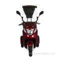 YB420 Electric Trcicyle con Rood para personas mayores